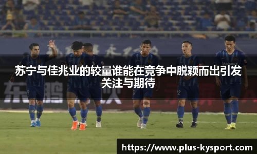 开云体育官方网站